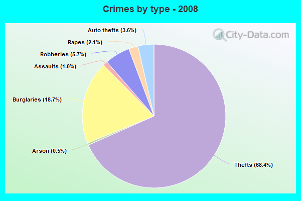 Crimes by type - 2008