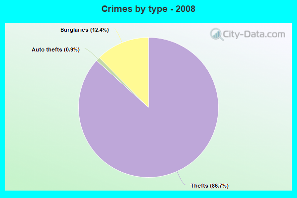 Crimes by type - 2008