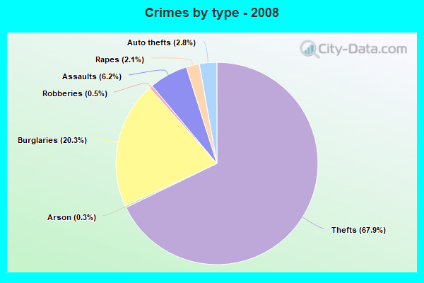 Crimes by type - 2008