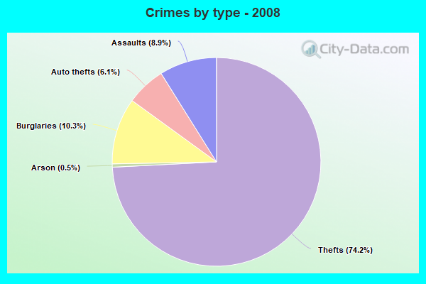 Crimes by type - 2008