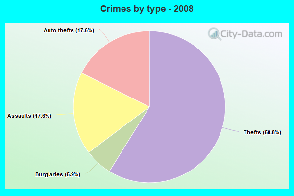 Crimes by type - 2008