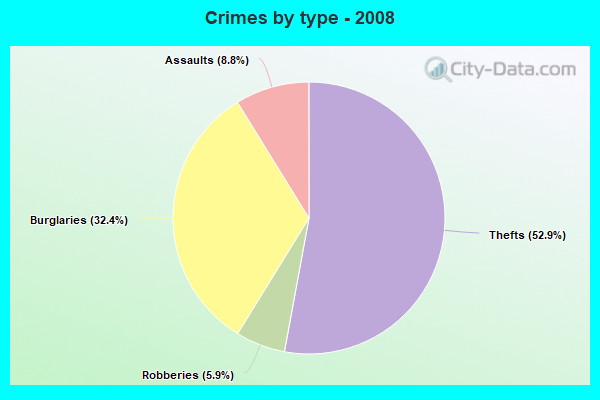 Crimes by type - 2008