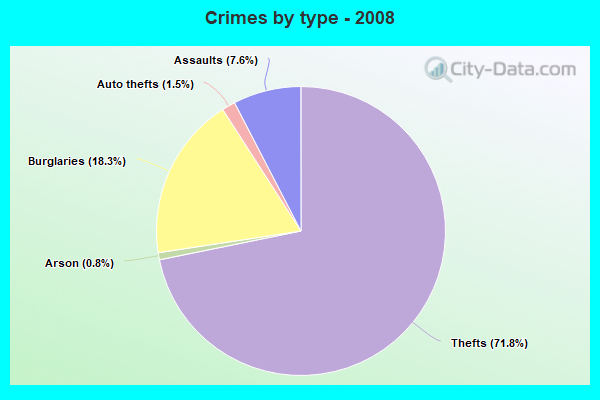 Crimes by type - 2008