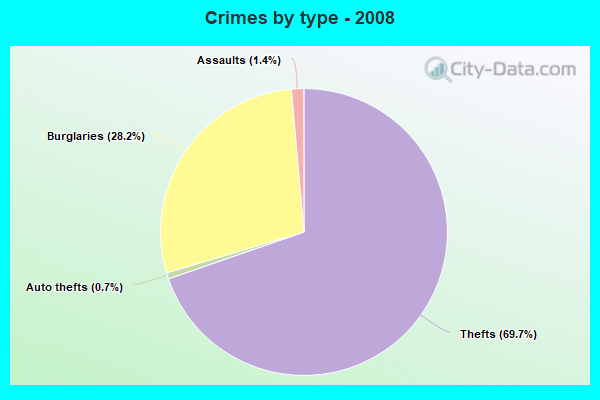 Crimes by type - 2008