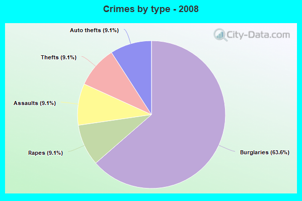 Crimes by type - 2008