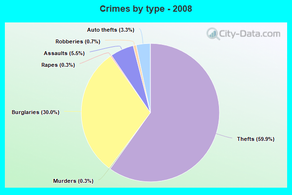 Crimes by type - 2008