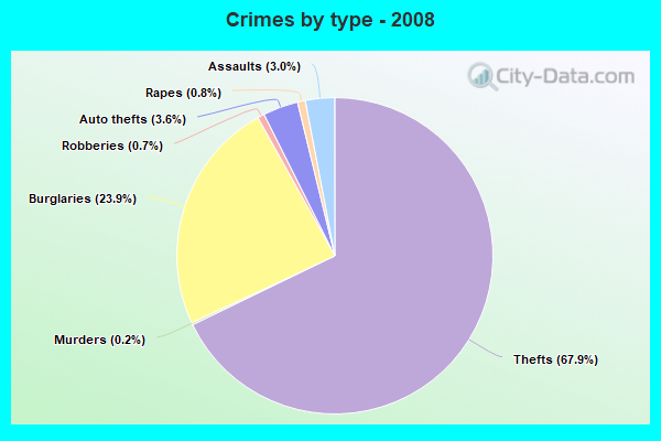 Crimes by type - 2008