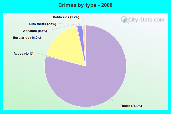 Crimes by type - 2008