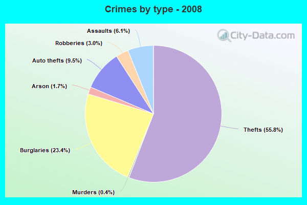 Crimes by type - 2008