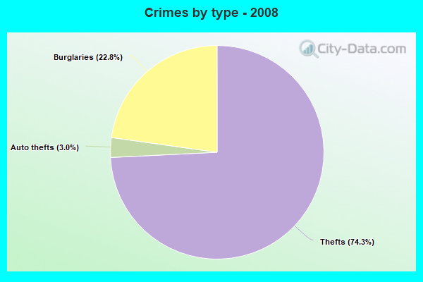 Crimes by type - 2008