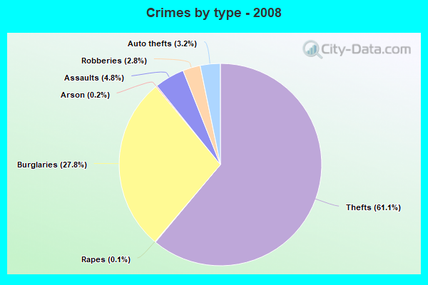 Crimes by type - 2008