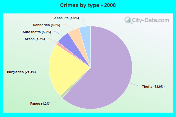 Crimes by type - 2008