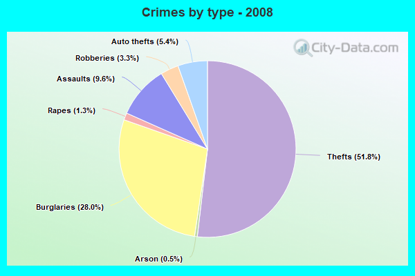 Crimes by type - 2008