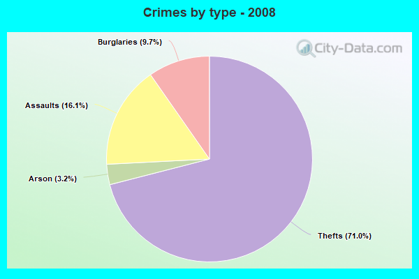 Crimes by type - 2008