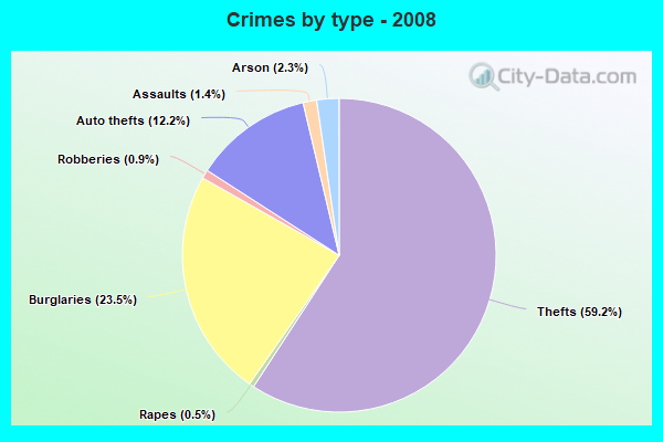 Crimes by type - 2008