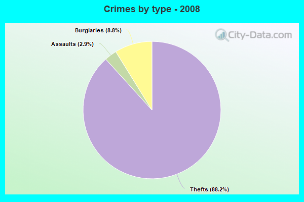 Crimes by type - 2008