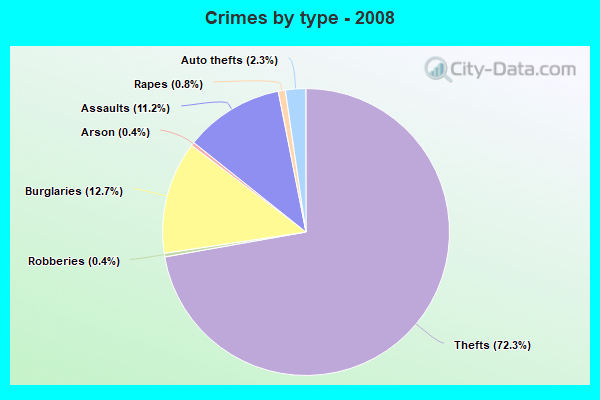 Crimes by type - 2008