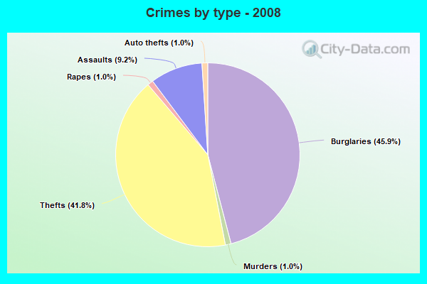 Crimes by type - 2008