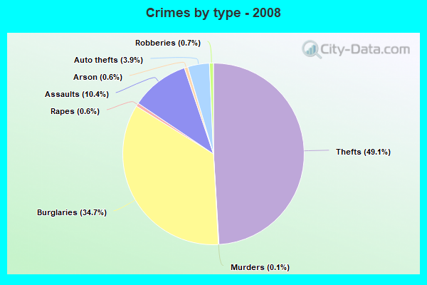 Crimes by type - 2008