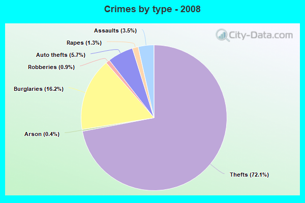 Crimes by type - 2008