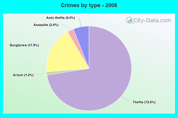 Crimes by type - 2008