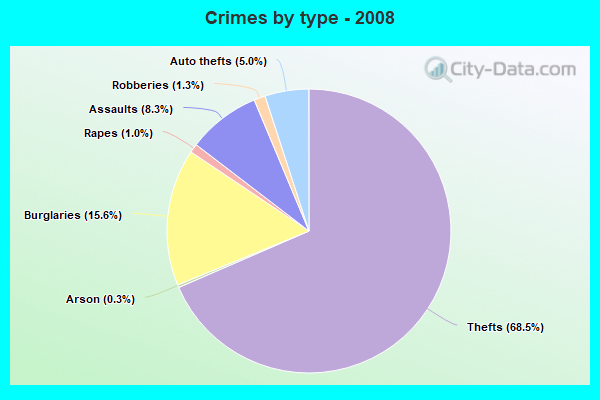 Crimes by type - 2008