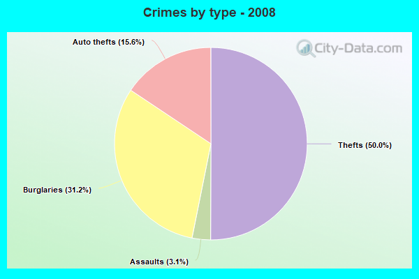 Crimes by type - 2008