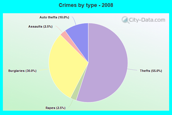 Crimes by type - 2008