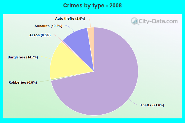 Crimes by type - 2008