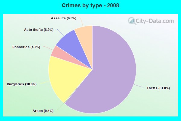 Crimes by type - 2008