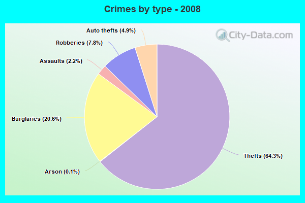 Crimes by type - 2008