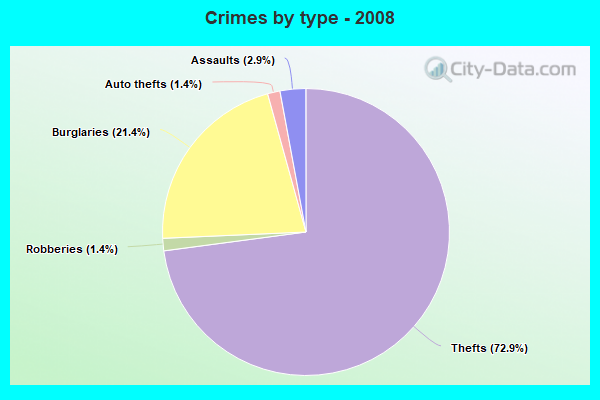 Crimes by type - 2008