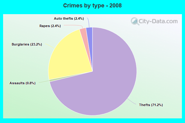 Crimes by type - 2008