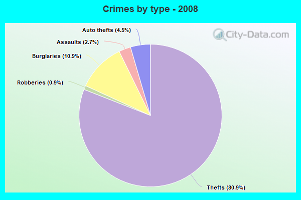 Crimes by type - 2008