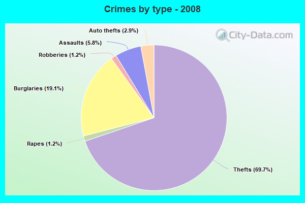 Crimes by type - 2008