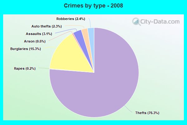 Crimes by type - 2008