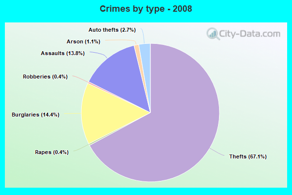 Crimes by type - 2008