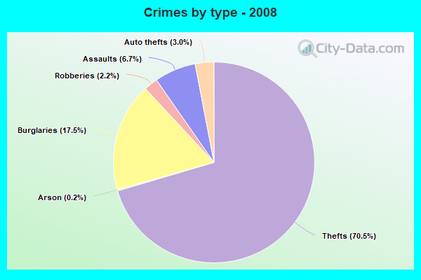 Crimes by type - 2008