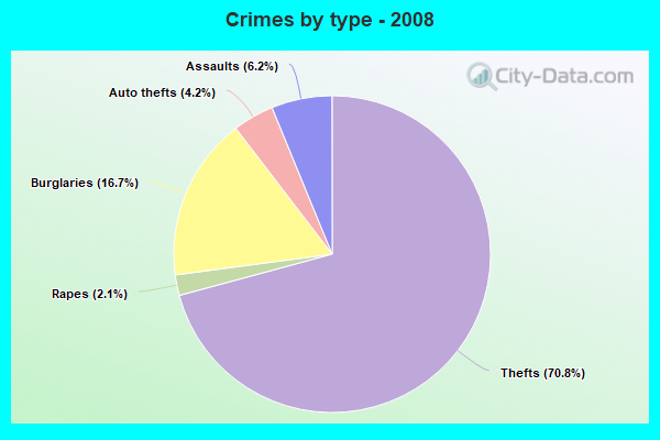 Crimes by type - 2008