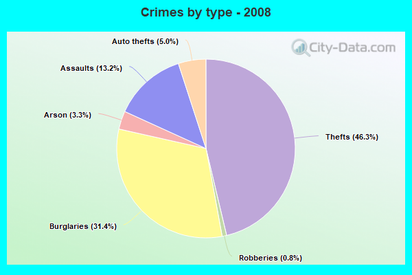 Crimes by type - 2008