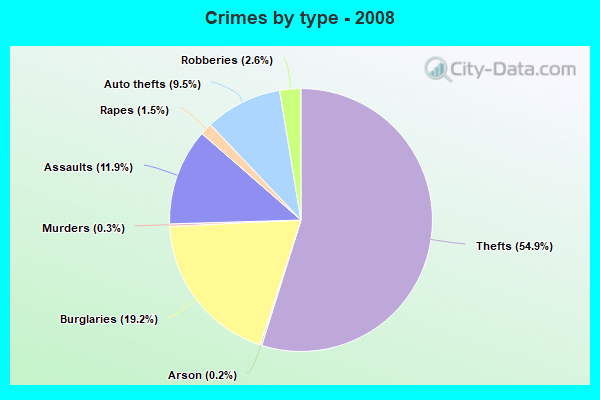 Crimes by type - 2008