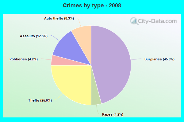 Crimes by type - 2008