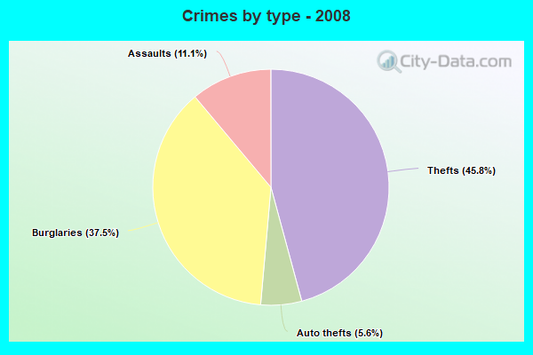 Crimes by type - 2008