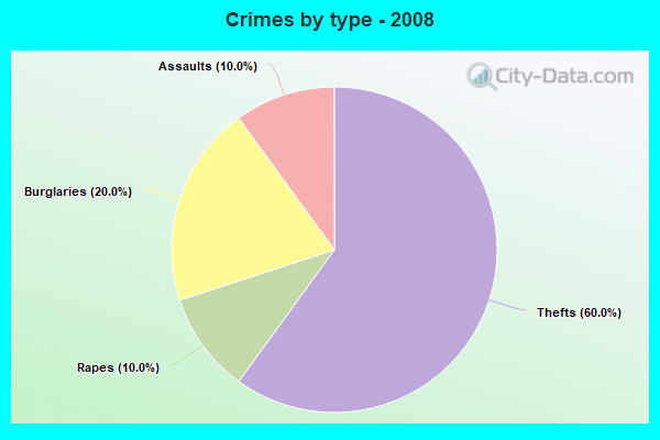 Crimes by type - 2008