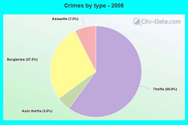 Crimes by type - 2008