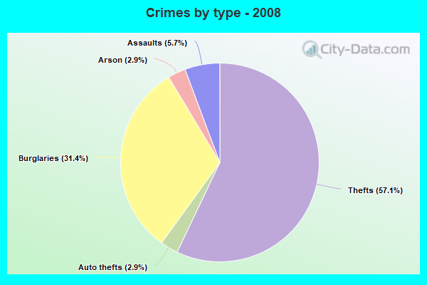 Crimes by type - 2008