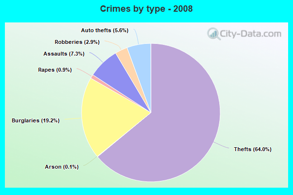 Crimes by type - 2008