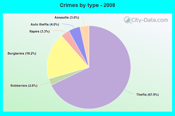 Crimes by type - 2008