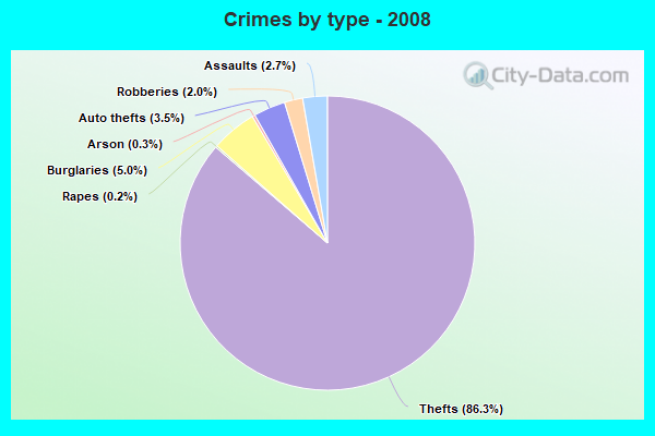 Crimes by type - 2008