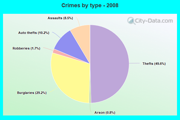 Crimes by type - 2008